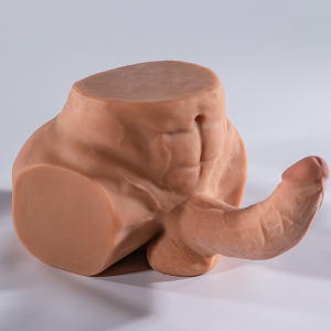 Realistic Male Form Toy