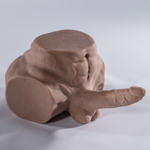 Heavy-Duty Male Form Toy