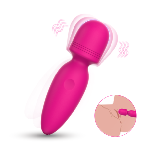 Mini Silicone Vibrator