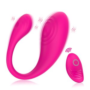 Remote Control Dual Vibrator